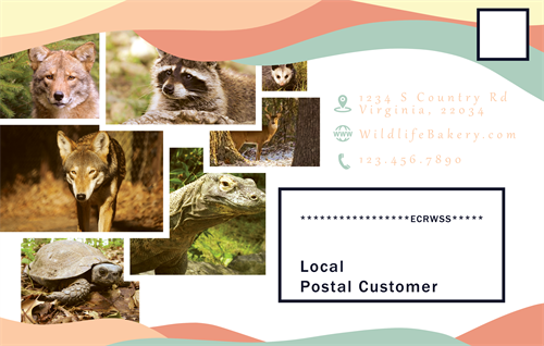 This is an EDDM that I did! They are promotional mailers that can benefit your company! You can learn more about them on my "Business Work" page on my website!