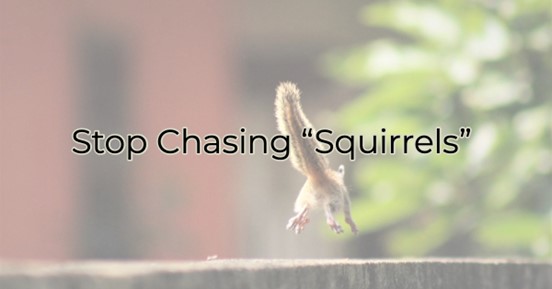 Image for Stop Chasing Squirrels