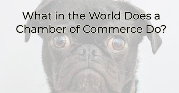 Image for ​What in the World Does a Chamber of Commerce Do?