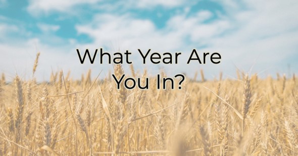 What year are you in?