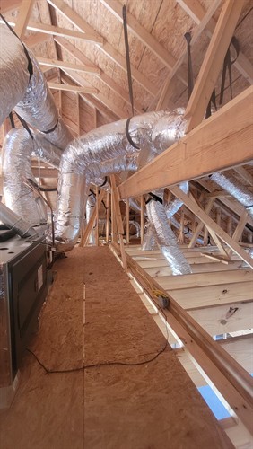 Gallery Image 20251110_141637.jpg