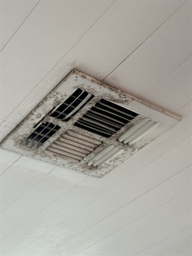 Gallery Image IMG_7110.jpeg