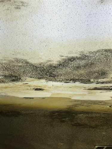 Gallery Image IMG_7483.jpeg