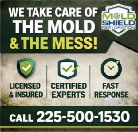 Gallery Image image3.jpeg