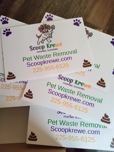 Gallery Image 1000000034.jpg