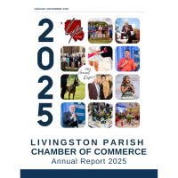 2025 - Annual Report - LP Chamber 