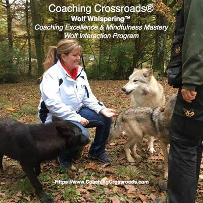Coaching Crossroads, LLC Coaching Crossroads, LLC