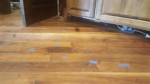 Water Damage Hard Wood Flooring Water Damage Hard Wood Flooring