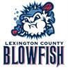Lexington County Blowfish Baseball