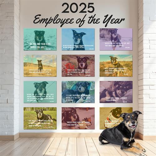 Gallery Image employee_of_2025.jpg