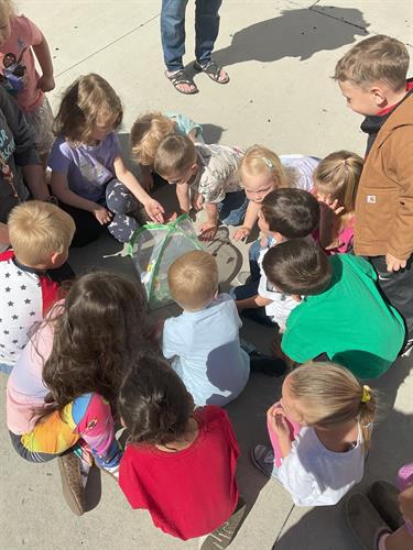 Gallery Image IMG_0267.jpeg