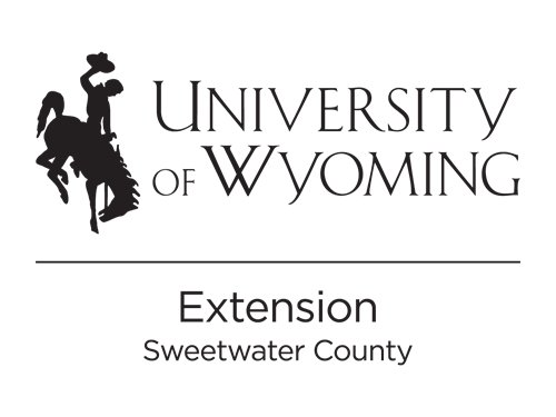 Gallery Image UWtwoline_V_ExtSweet_black.png.png