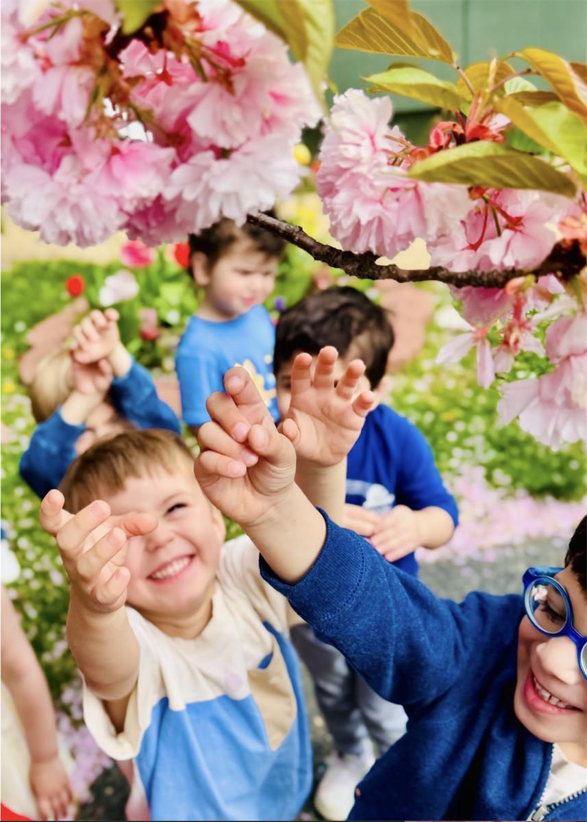 Environmental Education is Golden at Geneva Day School :: How Student-Scientists Learn about the Natural World