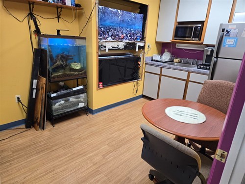 Kitchen are high-traffic areas where germs love to hide. At Cleaning Surfaces, we don't just 'Wipe down' - we sanitize. From coffee stations to communal fridges, we ensure your kitchen is safe, healthy space for your team to recharge.