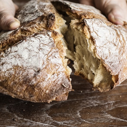 Gallery Image 305-AKE01094-Eye.jpg