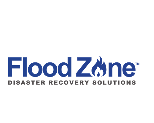 Flood Zone Logo