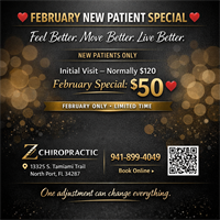Z Chiropractic - north port