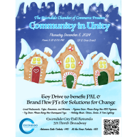 14th Annual Community In Unity