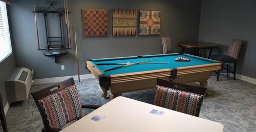 Game Room / Pool Table
