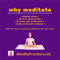 Mindful Frontiers, LLC -