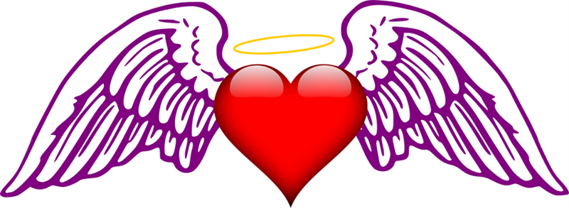 Loving Angels Among Us LLC
