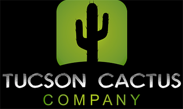 Tucson Cactus & Koi