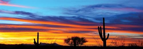 Gallery Image Tucson_sunset_with_saguaro.jpg