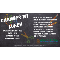 Chamber 101 Lunch n Learn