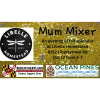 Mum Mixer at Libelle Homestead