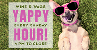 Wine & Wags Yappy Hour at Windmill Creek