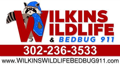 Wilkins Wildlife & BedBug 911
