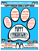 Atlantic General Hospital's 1st Annual Puppy Penguin Swim & Yappy Hour