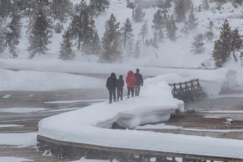 Snowcoach Tour in Yellowstone