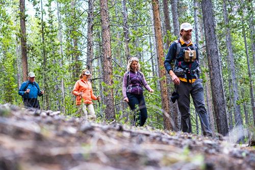 Guided hikes in Yellowstone and Southwest Montana