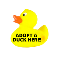 SOLD OUT! Rubber Ducky Race - Duck Adoption