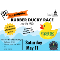 2025 Rubber Ducky Race over the Falls!