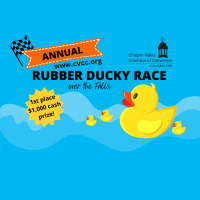 2026 Rubber Ducky Race over the Falls!
