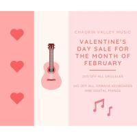 Chagrin Valley Music - Chagrin Falls