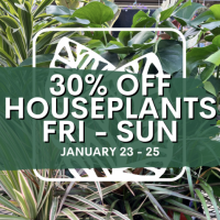 Lowe's Greenhouse - Chagrin Falls