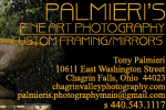 Palmieri's Photography and Video (Custom Picture Framing, too!)