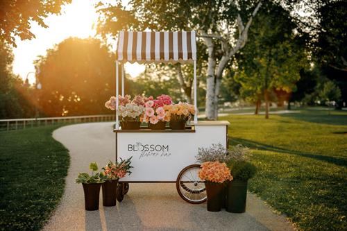 Our flower cart can bring the Flower Bar experience to you