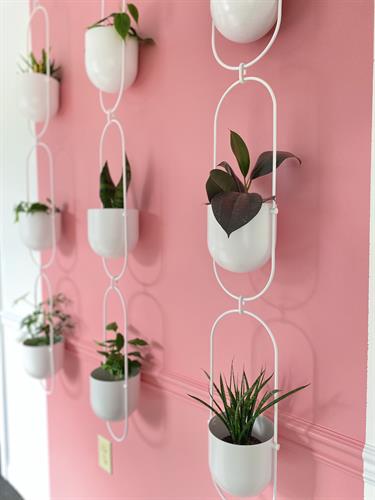 Plant Photo Wall
