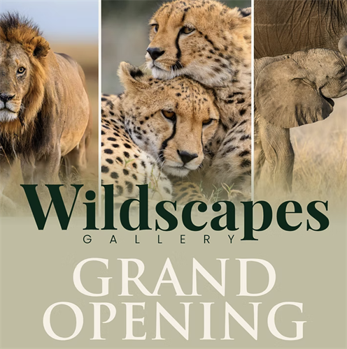 Gallery Image Screenshot_2026-02-27_at_4.44.16%E2%80%AFPM.png