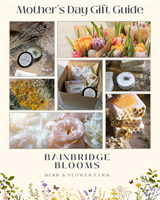 Bainbridge Blooms - Chagrin Falls
