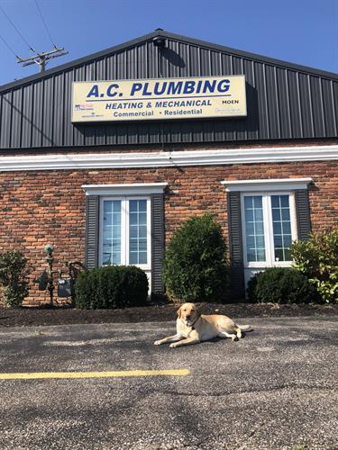 Gallery Image IMG_4950.jpg