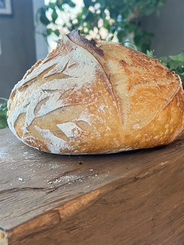 Gallery Image image10.jpeg