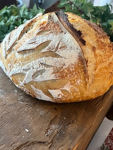 Gallery Image image11.jpeg