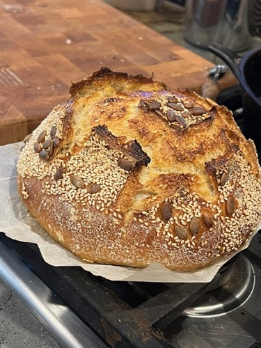 Gallery Image image21.jpeg