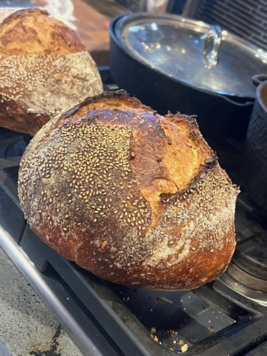 Gallery Image image22.jpeg