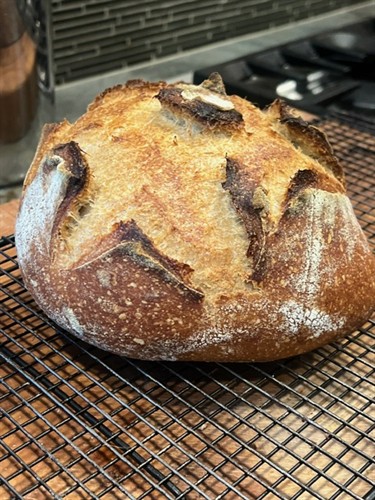 Gallery Image image23.jpeg